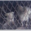 묘수농장 이미지