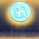 국제애견 이미지