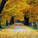 오션메디 이미지