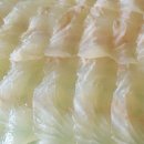 세일링민박 이미지