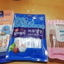 뚜뚜보떼 펫살롱 이미지