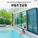 태진세탁 | 경주 단체풀빌라 추천 외동조경공원｜경주 공간대여·단체숙소 끝판왕 후기