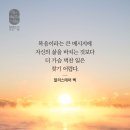 소망 Daum카페