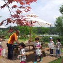 숲중앙어린이집 이미지