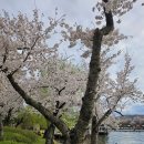 러브 오브 마이라이프 | 경주에서 만난 Queen의 Love of My Life