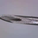 세방한의원 이미지