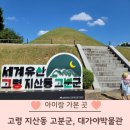 대가야광장 | 대가야박물관 고령 아이랑 가볼만한 곳 지산동 고분 국가유산청 여권