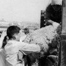 부활목장 이미지