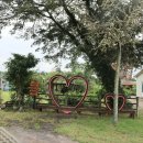 제주 올레길 13코스 이미지