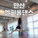 엘핀폴스튜디오 | 안산 엘핀 폴댄스 1회차 찐후기 폴린이 의상 추천