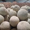 내외로마트 이미지