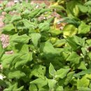 바닷가에서 이미지