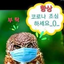 부성파크 이미지