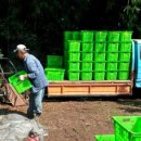 제주돌집 민박 이미지