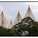 정원출장 이미지