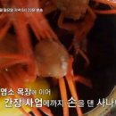 홍가네농장 이미지