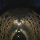 골목여관 | 대전 은행동 안흥여관 공포 방탈출 체험기