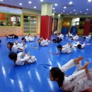 국가대표 한빛태권도 이미지