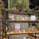수수가든카페 - 연수구 | [수수가든]구파발 롯데몰 카페 후기