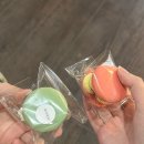 소크라테스의 사랑 이야기 | 도망치고 싶다는 생각이 들지 않는 사랑은 처음이었다