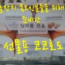 코코호도과자중동롯데점 네이버블로그