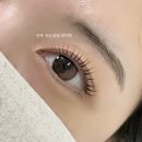 [공지] 🎀 진주 속눈썹펌 잘하는 곳! [모아미]에서 인생 눈매 완성하기 ✨
