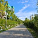 천변공원 화장실 이미지