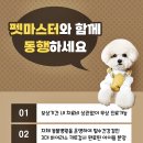 명곡동144 | 명곡동강아지분양 말티푸 저렴한곳 애견분양