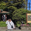 블루 마운틴 이미지