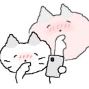 뷰티몽냥