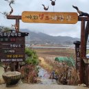 토루생태체험 이미지