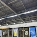 핑크노래연습장 이미지