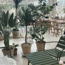 스타(star) PC카페 | 익산 마리더스타 분위기 좋은 감성카페 군산 근교 대형카페