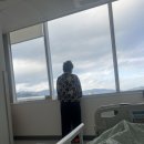 한마음병원 | 창원한마음병원 제왕절개 출산후기(6박7일) 3-7일차