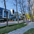 양재도서관 이미지