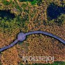 소라면 가사리 이미지