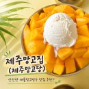 2067 | 제주 애플망고 맛집 제주망고집(제주망고당), 망고빙수에 애플망고가 듬뿍! 내돈내산 후기