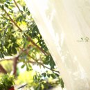 포포스튜디오