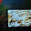 어린이공연 <매직스토리> 이미지