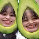 아보카도즈 이미지