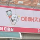 예뻐지냥 이미지