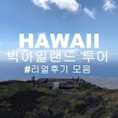 원더풀하와이 이미지