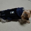 은해보조기 이미지