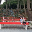 괴정2동-7 이미지