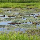 실미농장 이미지