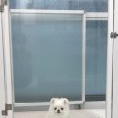쏘니미용실