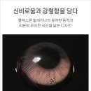 올리브안경