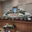 성심상조 - 은평구 통일로 873 | 성심상조