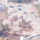 라온실용음악학원