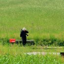 고삼목장 이미지